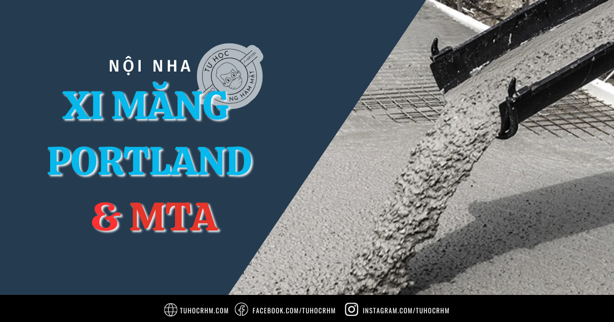 MTA Và Xi Măng Portland: Nguồn Gốc & Phản Ứng (2026)