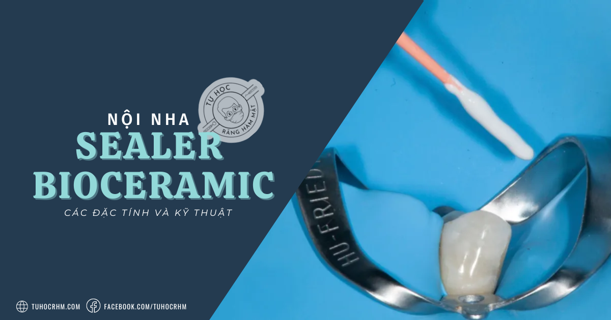 Bioceramic & Các Kỹ Thuật Trám Bít Ống Tủy Hiện Đại (2026)