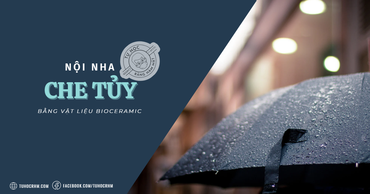 Quy Trình Che Tủy & Lấy Tủy Buồng Bằng Vật Liệu Bioceramic (2026)