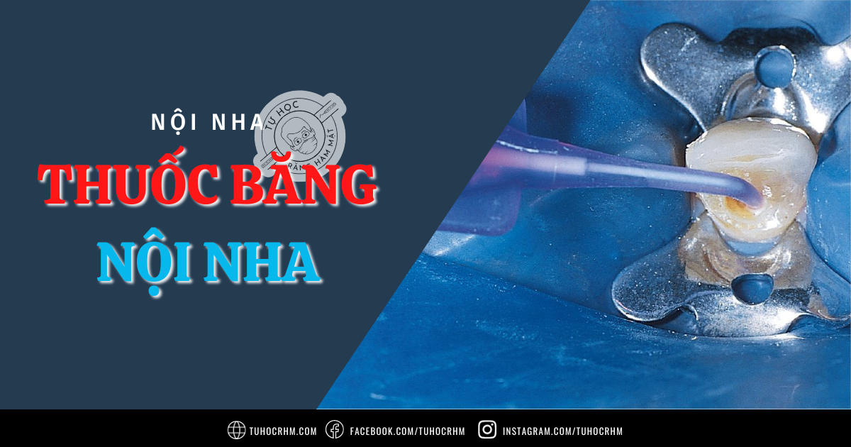 Thuốc Đặt Trong Ống Tủy (Ca(OH)2, CHX): Cơ Chế & Chỉ Định (2026)