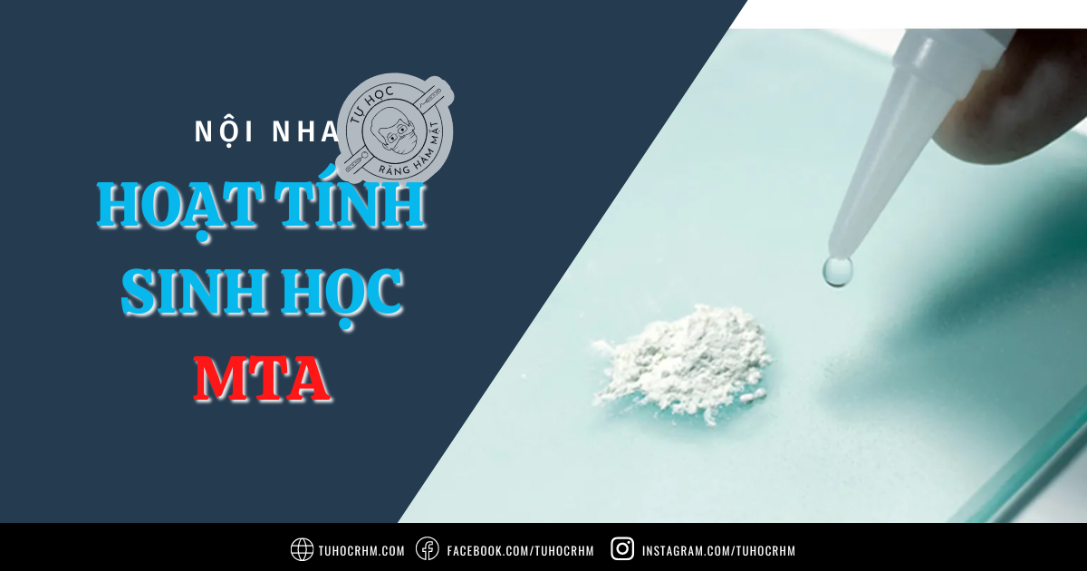 Hoạt Tính Sinh Học Của MTA: Cơ Chế & Ứng Dụng (2026)