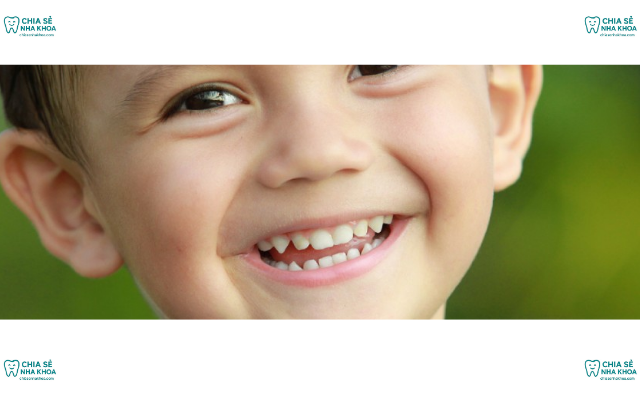 Lịch Thay Răng Sữa Ở Trẻ: Thứ Tự & Bí Quyết Chăm Sóc Đúng