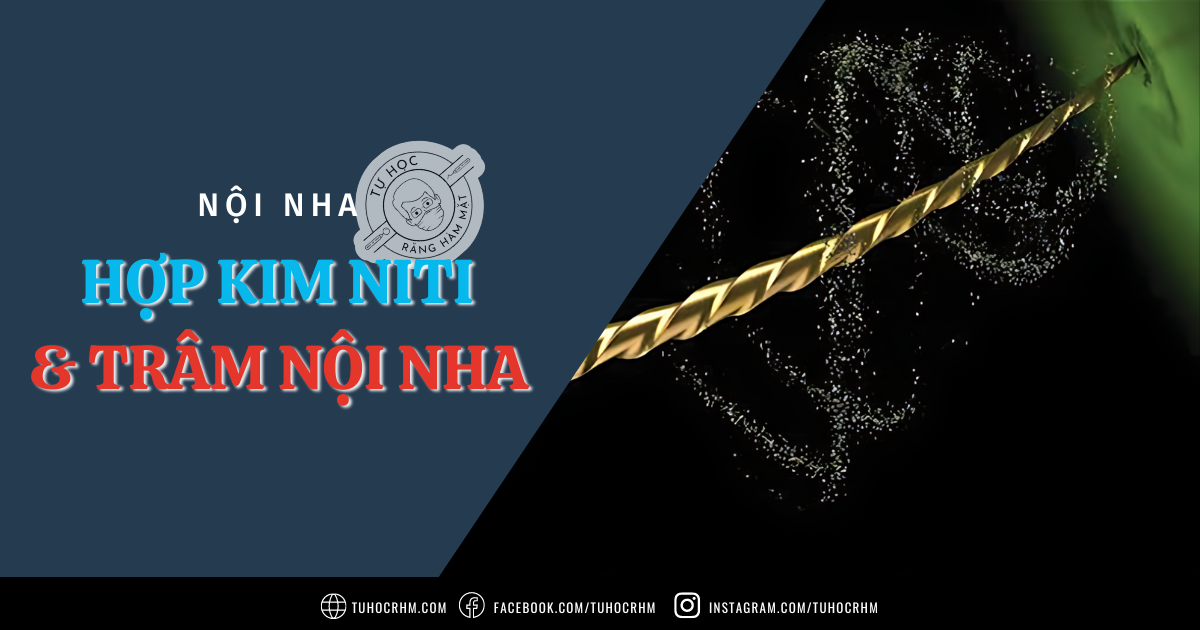 Hợp Kim NiTi & Trâm Nội Nha: Cấu Tạo, Tính Chất & Phân Loại (2026)