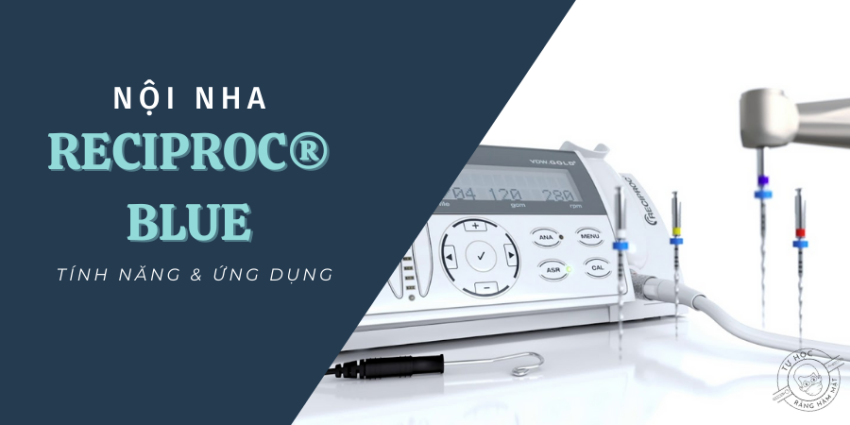 Trâm Reciproc Blue: Tính Năng, Cách Dùng & Kỹ Thuật 1 Trâm (2026)