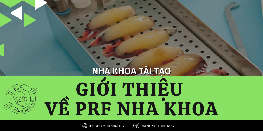PRF Là Gì? Công Nghệ Tiểu Cầu Cô Đặc Thế Hệ 2 Trong Nha Khoa (2026)