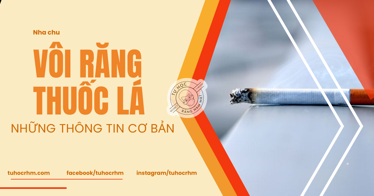Tầm Quan Trọng Của Mô Mềm Theo Chiều Dọc Trong Implant (2026)