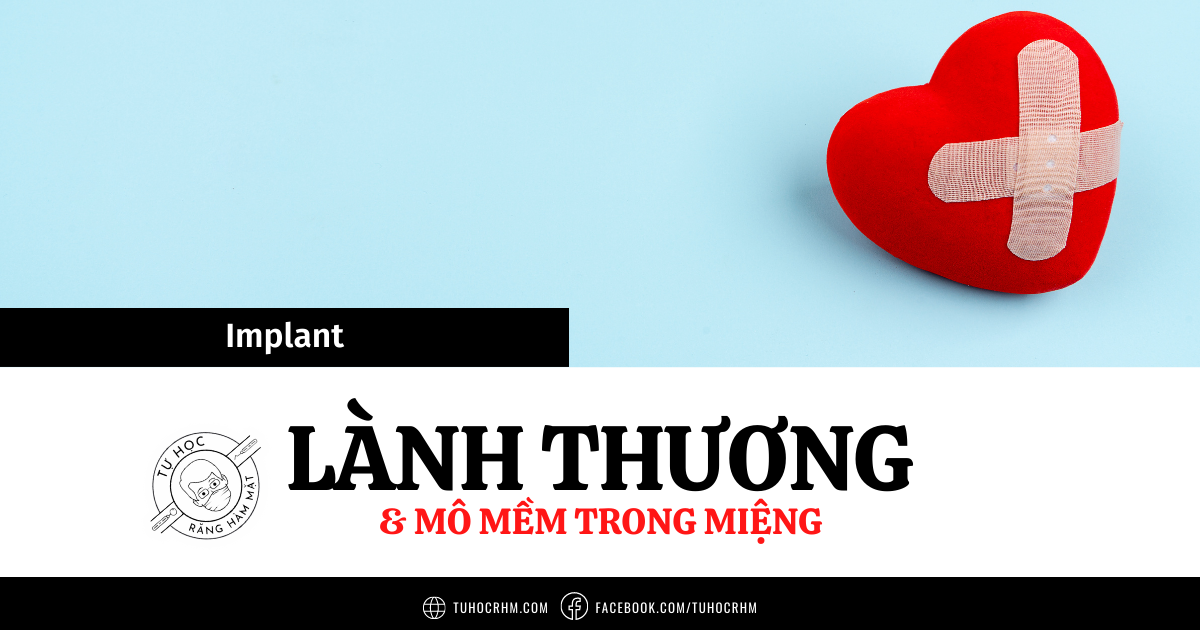 Sinh Lý Và Cơ Chế Lành Thương Mô Mềm Trong Miệng (2026)