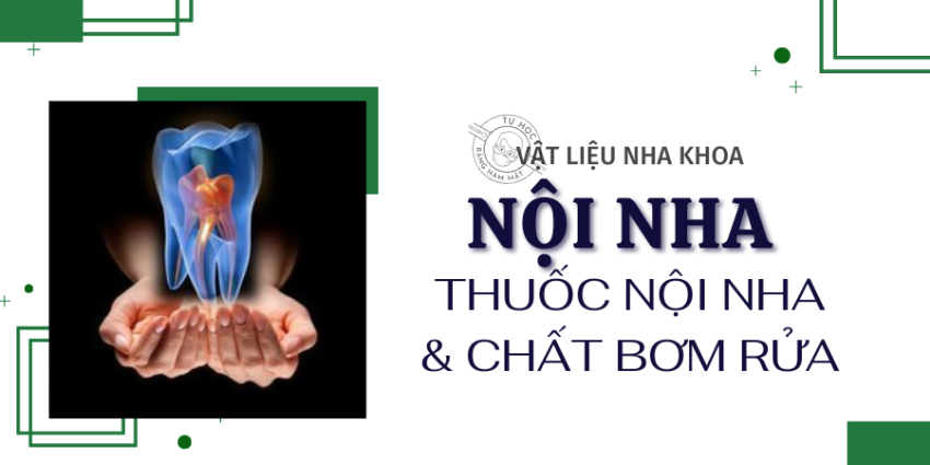 Thuốc Nội Nha & Dung Dịch Bơm Rửa Ống Tủy: Phân Loại Chuẩn (2026)