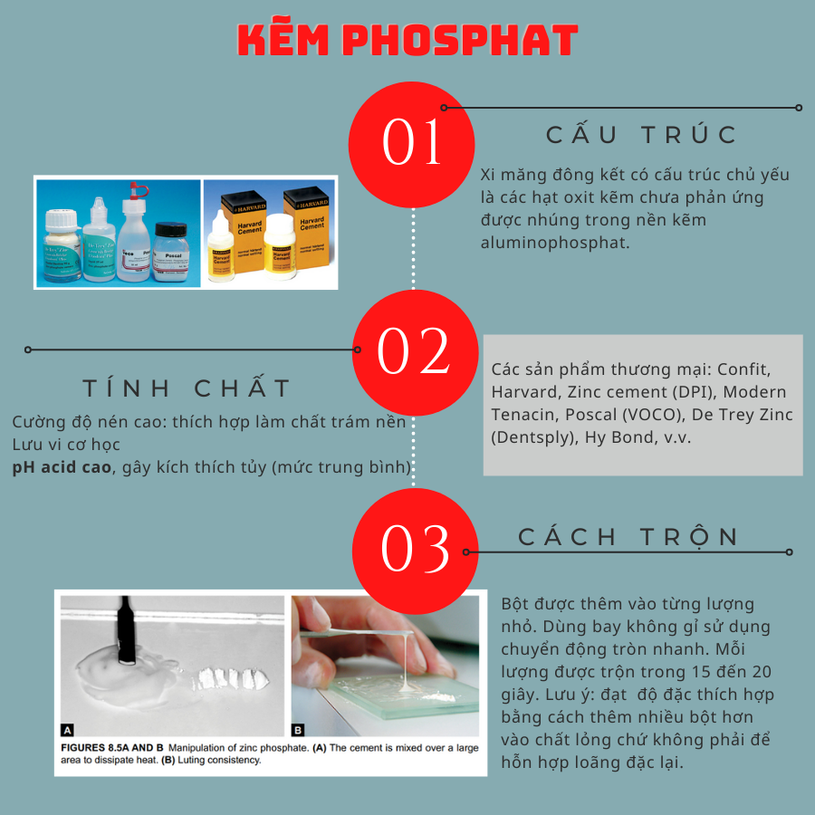 Xi Măng Phosphate Kẽm (Zinc Phosphate): Cấu Tạo, Tính Chất & Chỉ Định (2026)